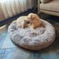 Calming Dog Bed with Cozy Round Design looks