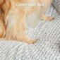 Cozy Orthopedic Dog Bed Egg Crate Foam for Ultimate Comfort 4