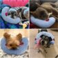 Cozy and Durable Dog Calming Pillow any breed