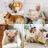 Custom Photo Pet Pillow Personalized Gifts face pillow decor1