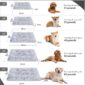 Durable Washable Pet Bed For Cozy Rest compatible dog size