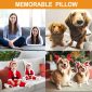 Personalized Pet Photo Pillow for Distinct Gift model