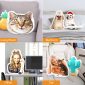 Personalized Pet Photo Pillow for Distinct Gift places