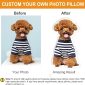 Personalized Pet Photo Pillow for Distinct Gift results