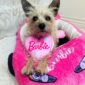 Plush Dog Bed with Barbie Inspiration model