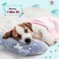 Restful Comfort with Our Dog Neck Pillow comfort
