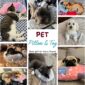 Restful Comfort with Our Dog Neck Pillow gifts